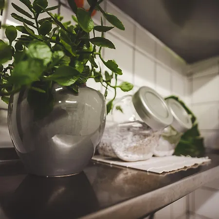 Wherever Mini Hostel Rovaniemi