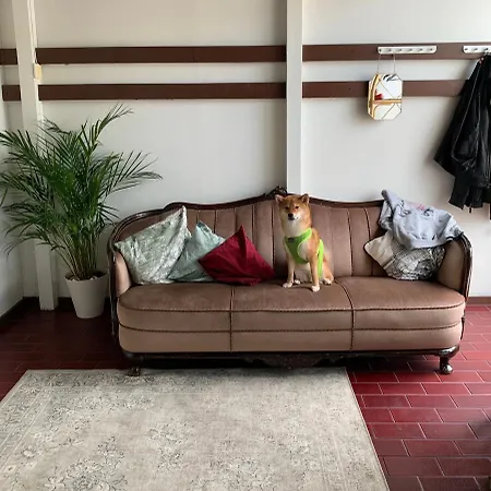 Wherever Mini Rovaniemi