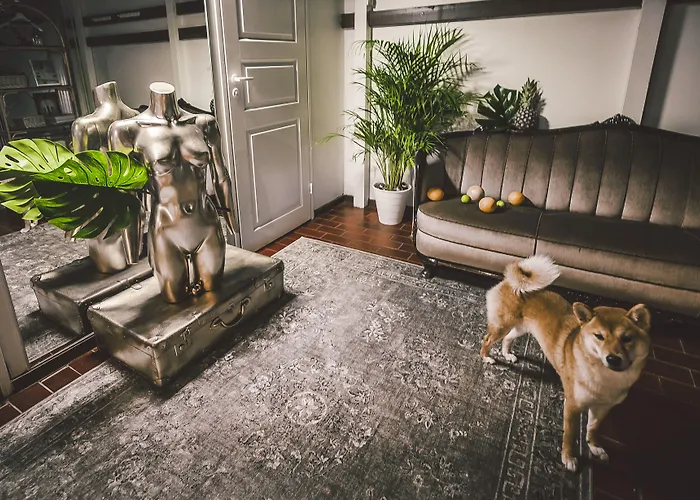 Albergue Wherever Mini *