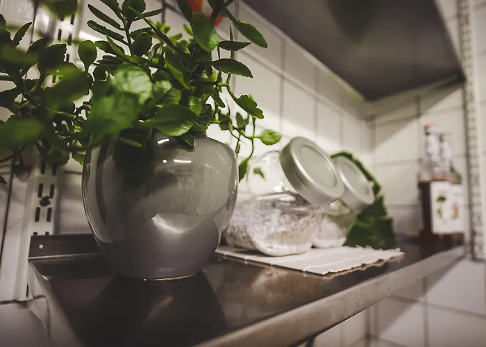 Wherever Mini Albergue Rovaniemi