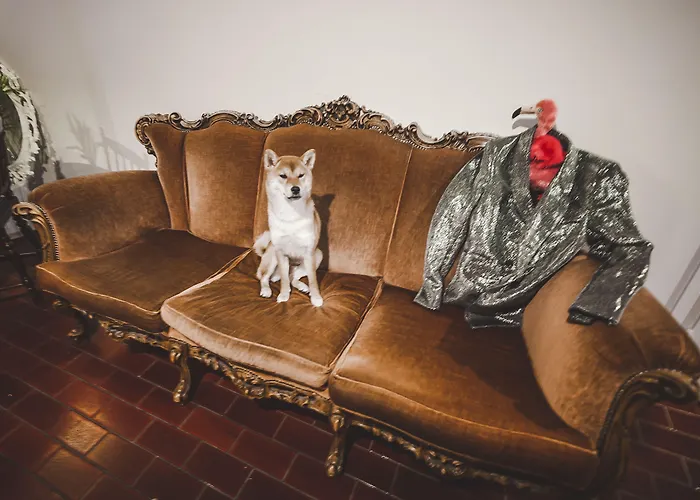 Albergue Wherever Mini *