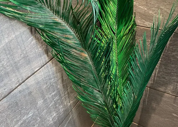 Albergue Wherever Mini