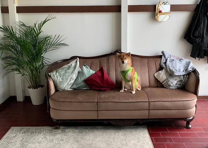 Wherever Mini Rovaniemi